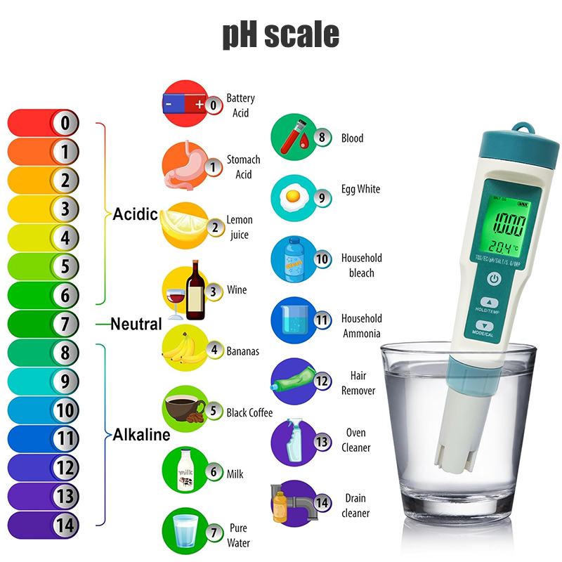 Westrune medidor de ph digital - Ph Meter Digital Water Tester avaliação e preço